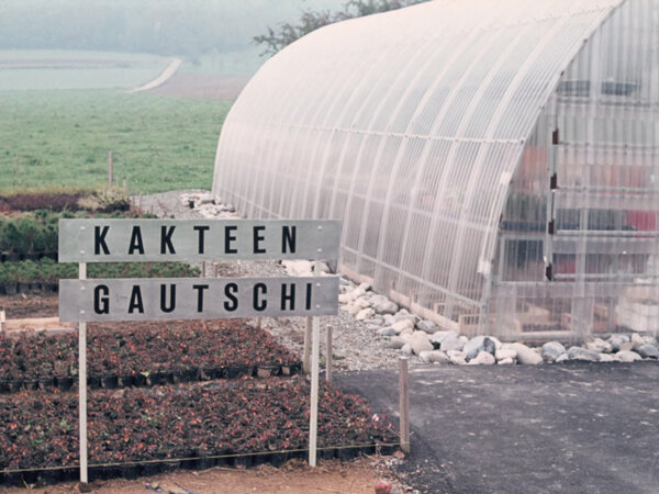 Kakteen Gautschi Geschichte 1980